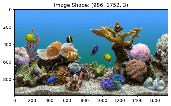 <Figure size 640x480 with 1 Axes>