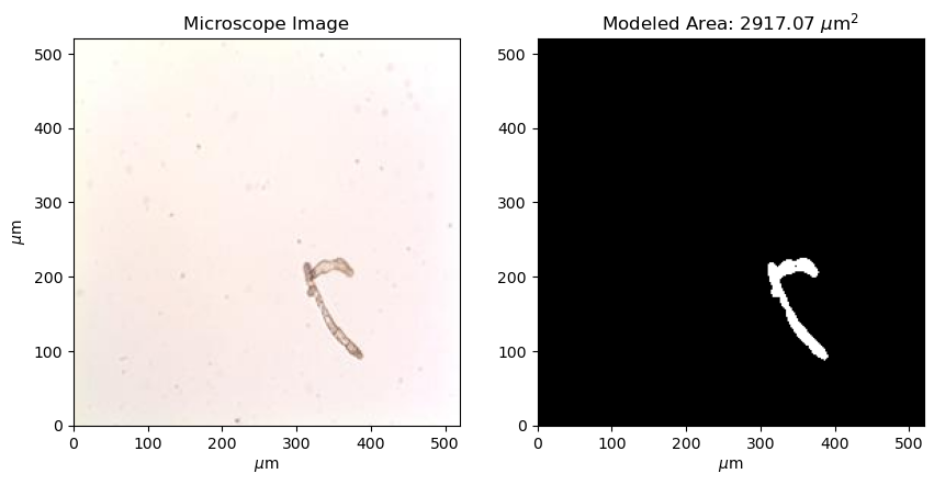 <Figure size 1000x500 with 2 Axes>