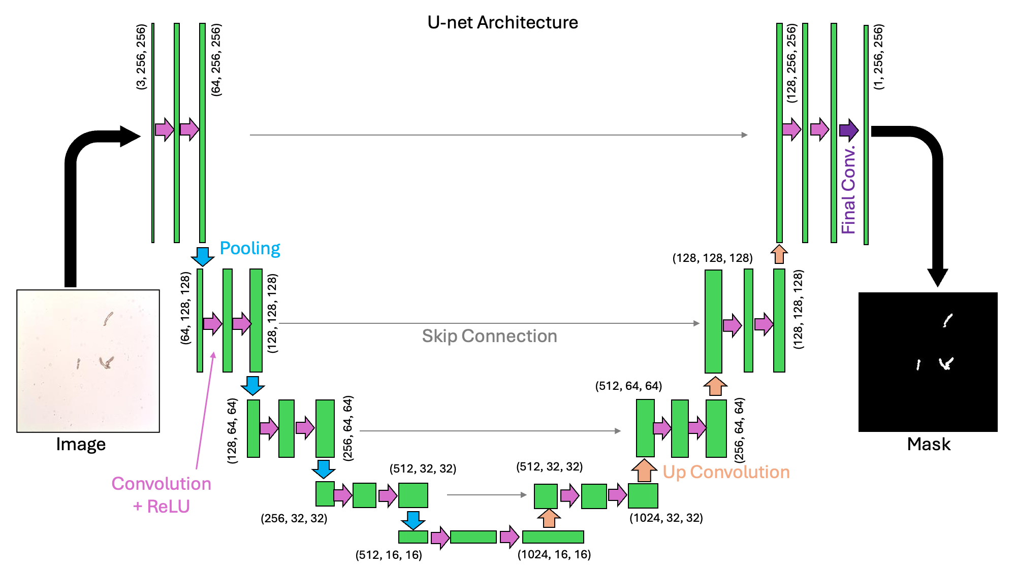 <IPython.core.display.Image object>