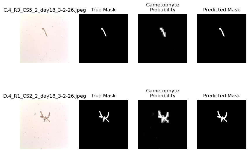 <Figure size 1000x700 with 8 Axes>