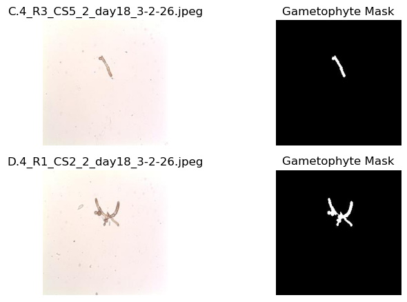 <Figure size 800x800 with 4 Axes>