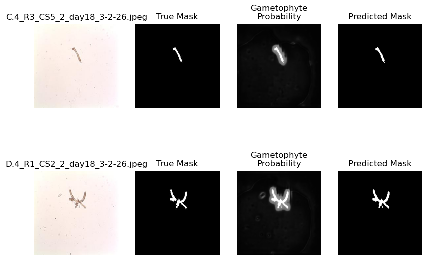 <Figure size 1000x700 with 8 Axes>