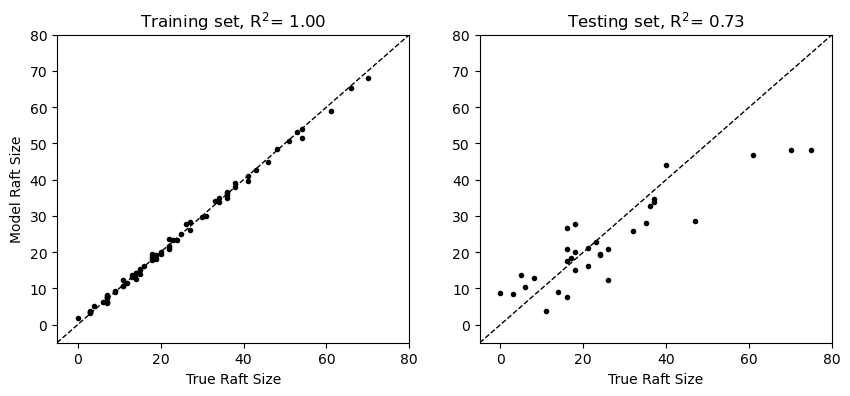 <Figure size 1000x400 with 2 Axes>