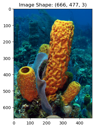 <Figure size 640x480 with 1 Axes>