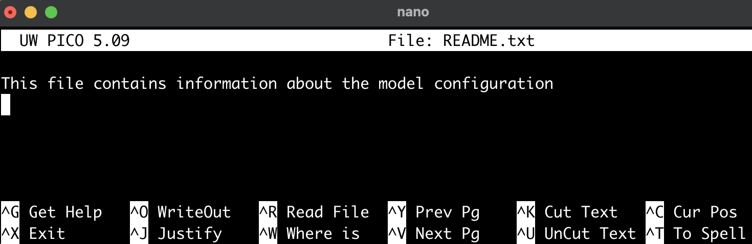 The Nano Text Editor