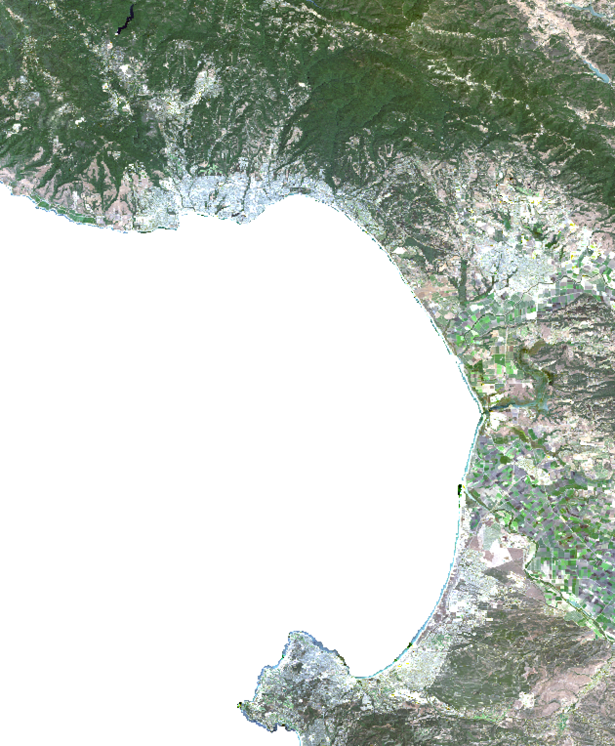 Screenshot of a “Natural Color” Landsat scene with the ocean clipped out.